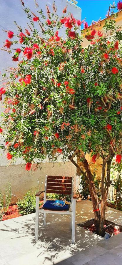 The Central Villa - Kassiopi Corfu Villas Ngoại thất bức ảnh
